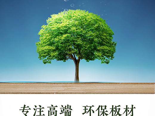 板材海报