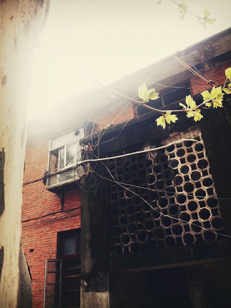 那一年，我的校园，我们的月亮岛