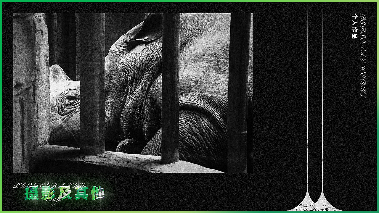 2021面试作品集整理（图ZMjQwNzk1NjY0） - 其他 - 站酷设计师不是扶桑原创素材 - 站酷ZCOOL