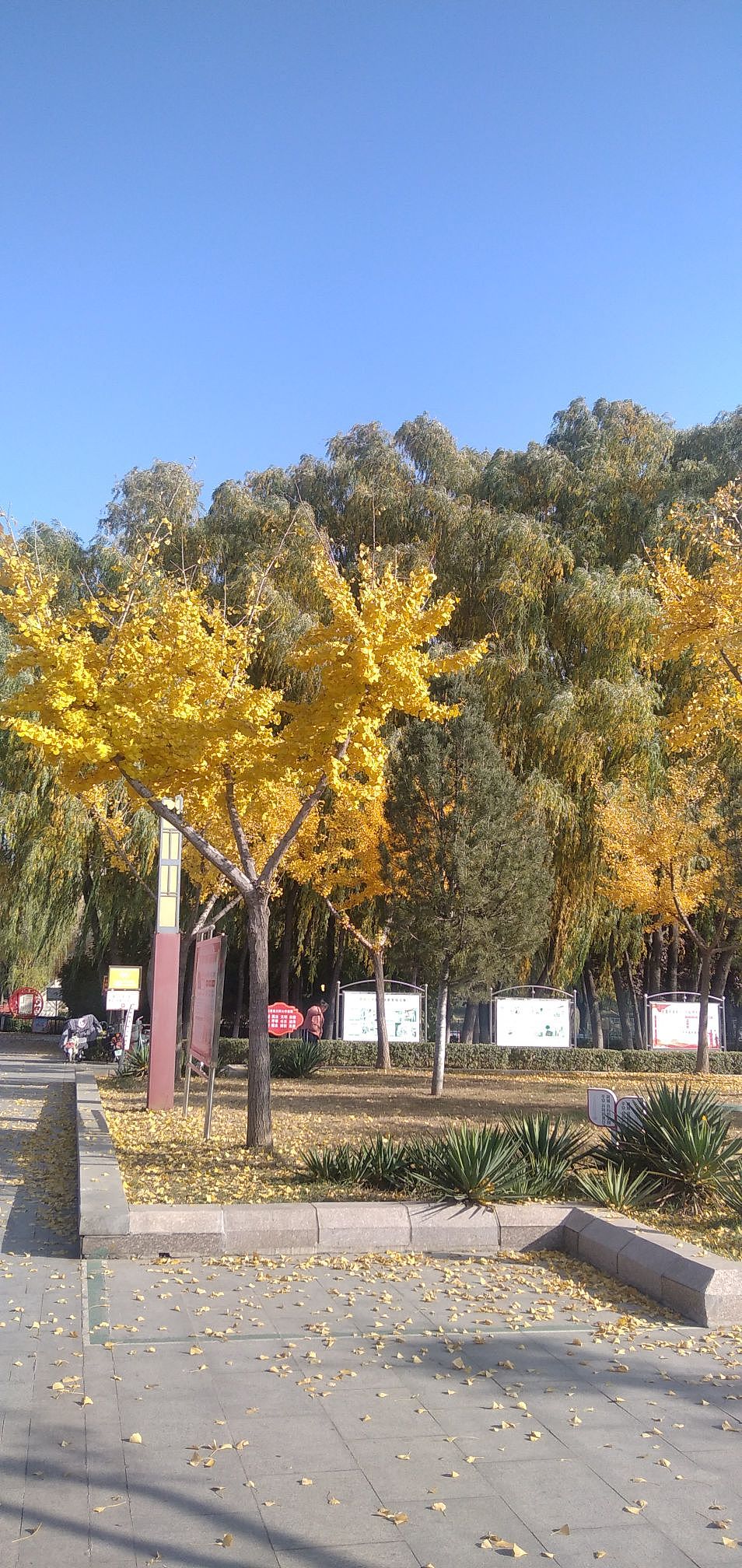 摄影（图ZMzIzMjAyMzg4） - 风光摄影 - 站酷设计师Z12155109原创素材 - 站酷ZCOOL