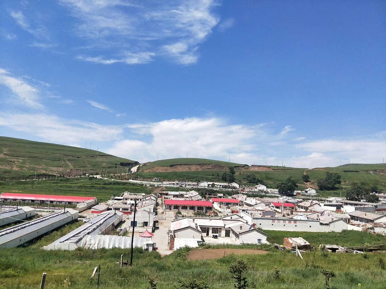 大草原蓝蓝的天