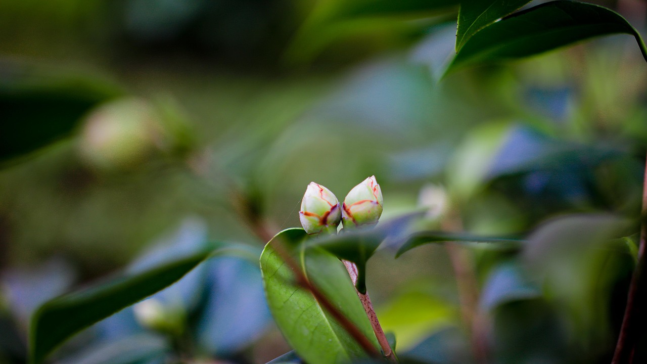 “义乌秋色”-雪峰公园