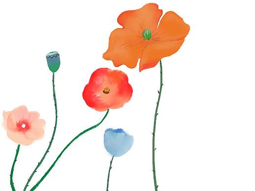 插画上色（个人主页-ZNTI1ODE0MzY=） - 创作习作 - 站酷设计师景七七原创素材 - 站酷ZCOOL