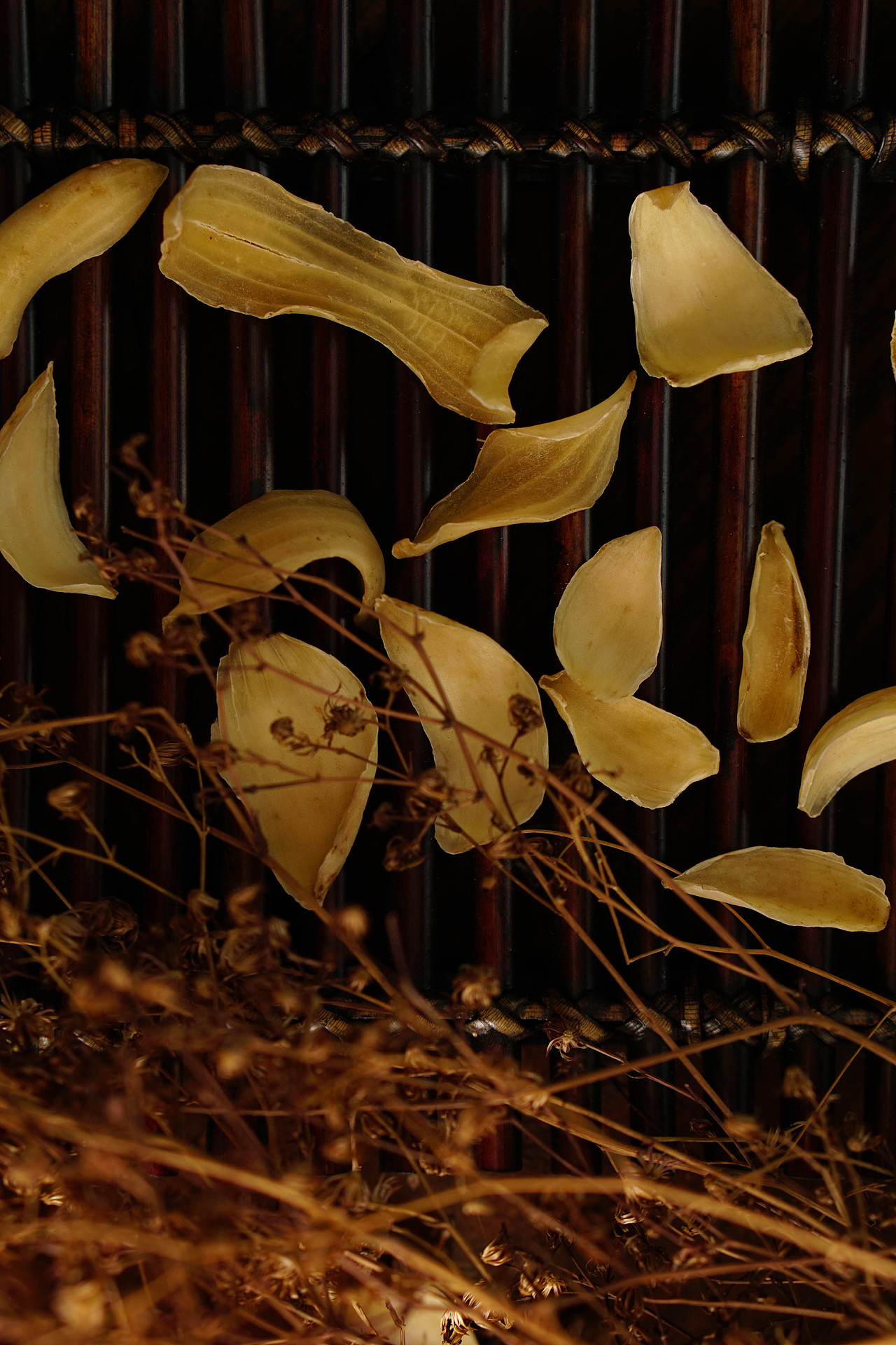 龙牙百合（图ZMTEwNjIxMzI0） - 产品摄影 - 站酷设计师BensonLI原创素材 - 站酷ZCOOL