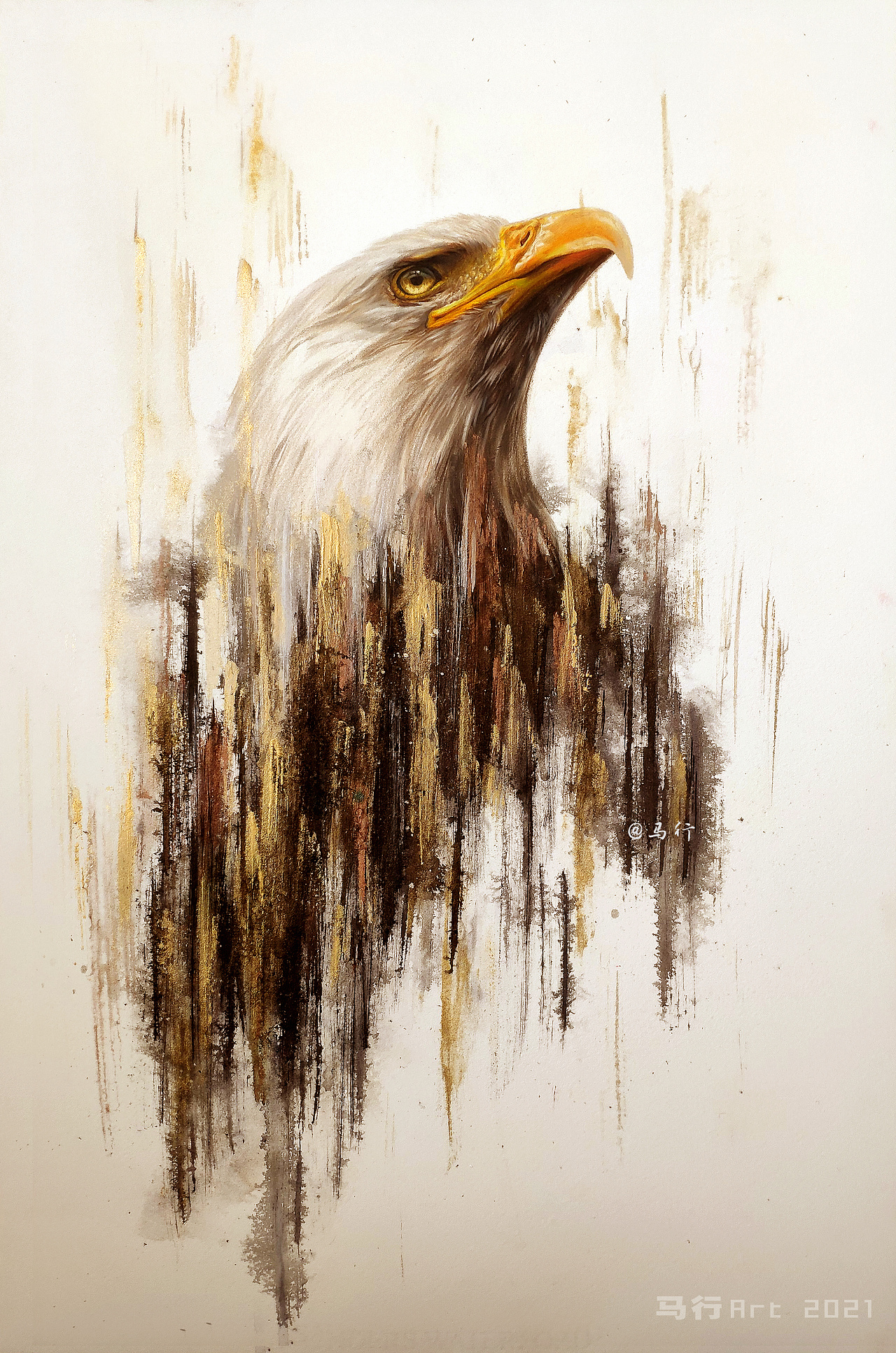 鹰|纯艺术|绘画|马行画彩铅 - 原创作品 - 站酷 (zcool)