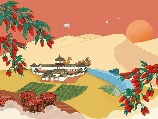 枸杞-插画包装设计