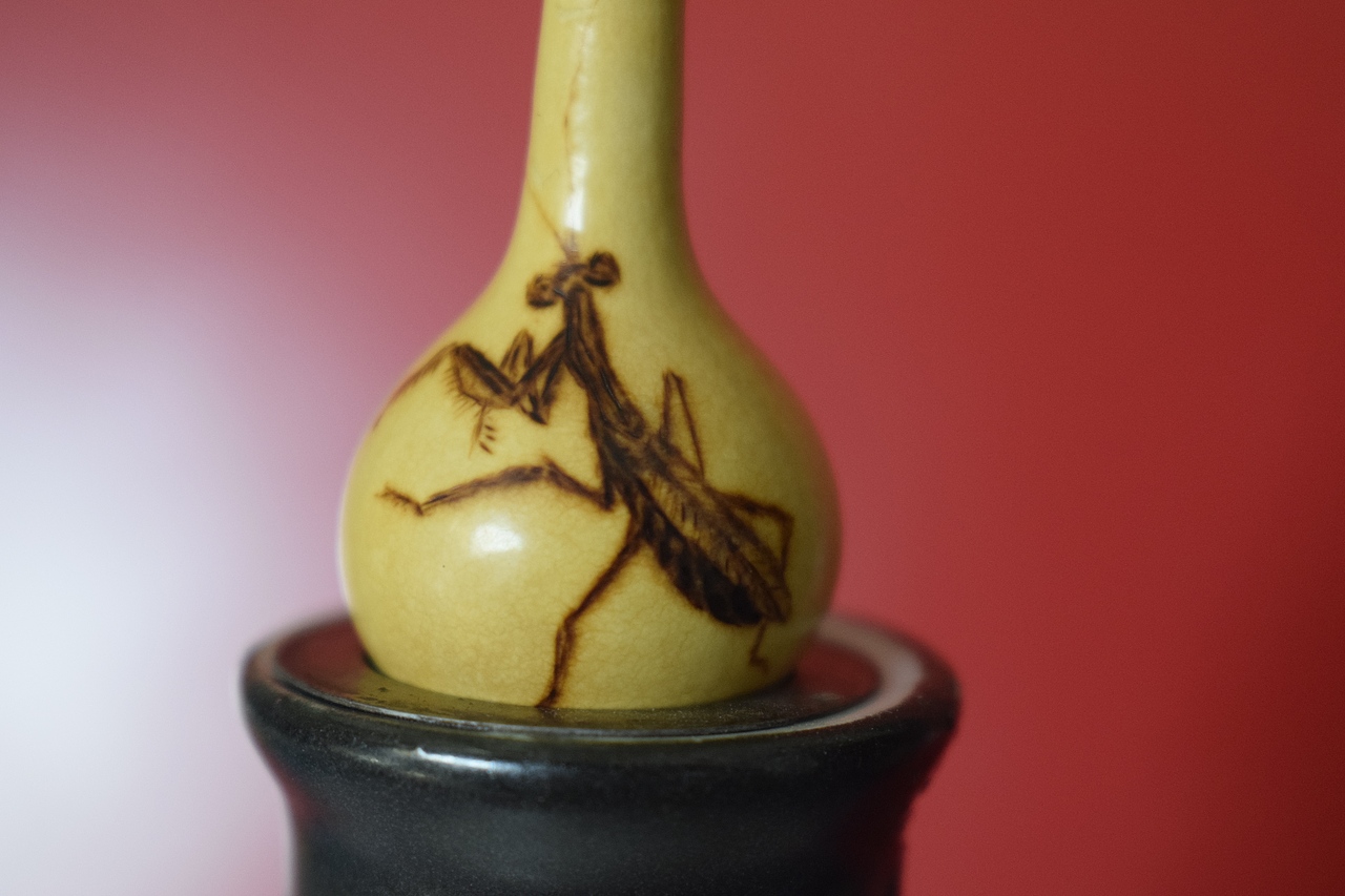 螳螂捕蝉，麻雀在后（图ZMjc3NDU3ODIw） - 其他手工艺 - 站酷设计师langmandahai原创素材 - 站酷ZCOOL