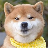 为傲的头像