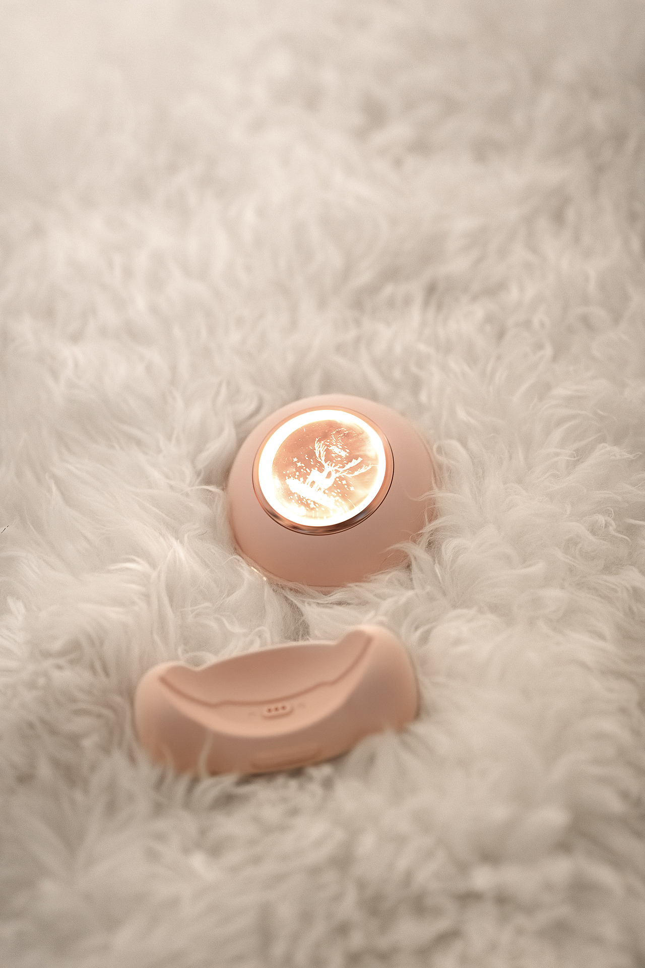 随手拍丨小明星暖手宝