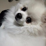一时苟且的头像