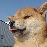 丶棕旨的头像