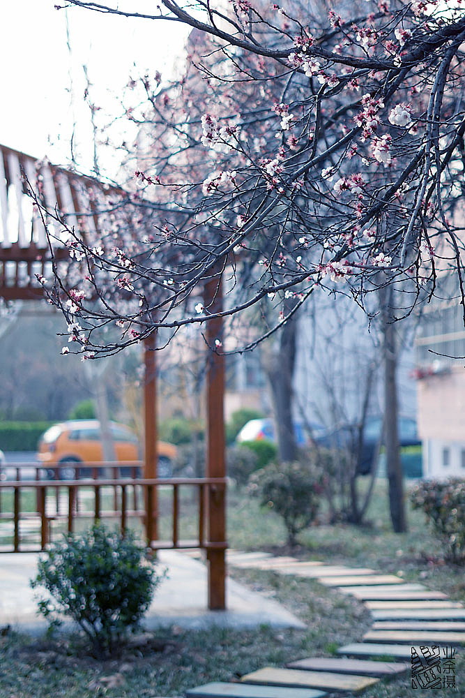 不像春天的春天