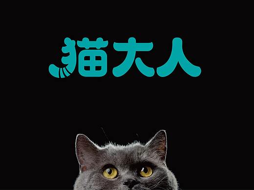 精品猫粮品牌升级