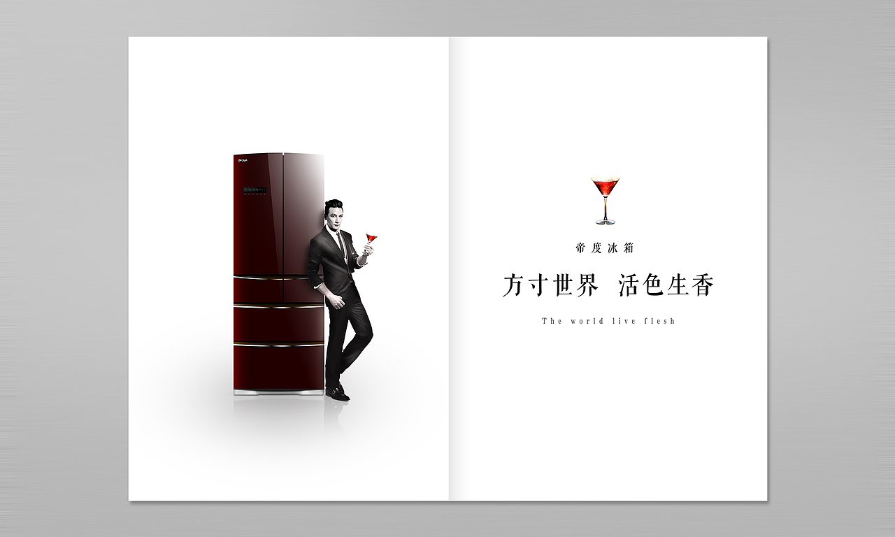 帝都冰箱提案稿（图ZMTAxOTYzNjg=） - 书籍/画册 - 站酷设计师zuiaifanqiezhi原创素材 - 站酷ZCOOL