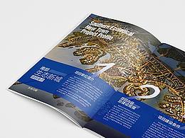 深圳市投资商会项目推介资料