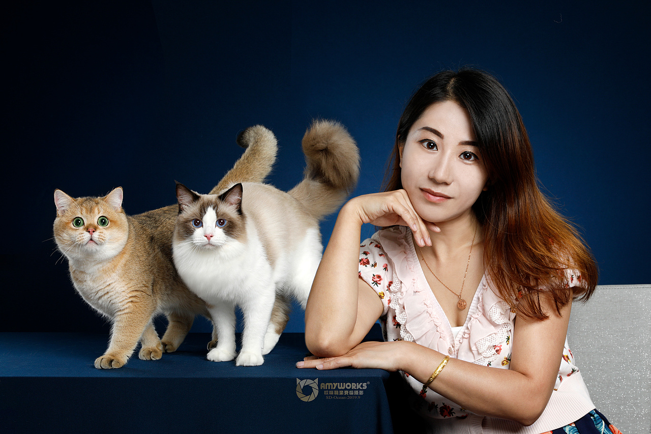 amywokrs九月山东旅拍人猫合影