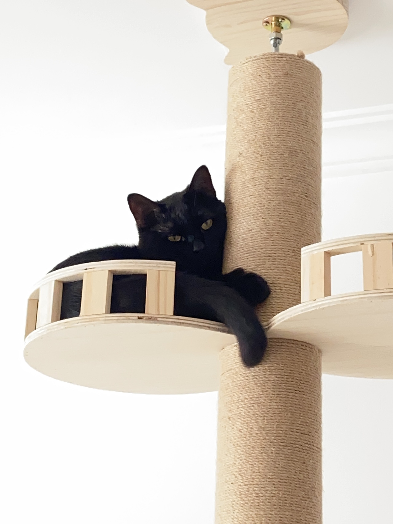 寶子哥的日常（圖ZMjY0NjExMzU2） - 創(chuàng)作習(xí)作 - 站酷設(shè)計(jì)師金溫野原創(chuàng)素材 - 站酷ZCOOL