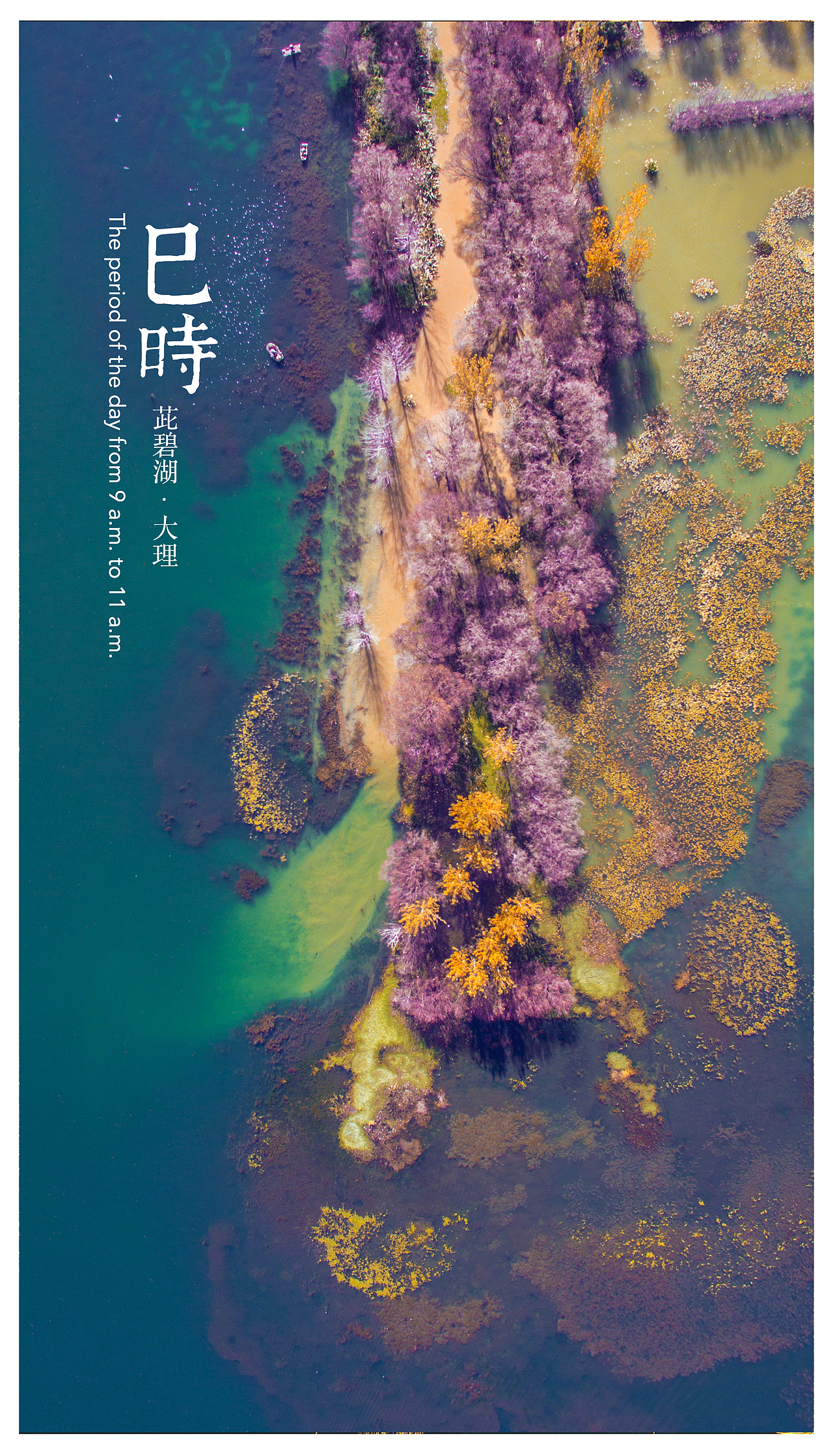 大理十二时辰