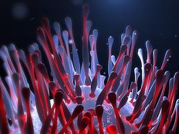 水晶渲染和海底生物