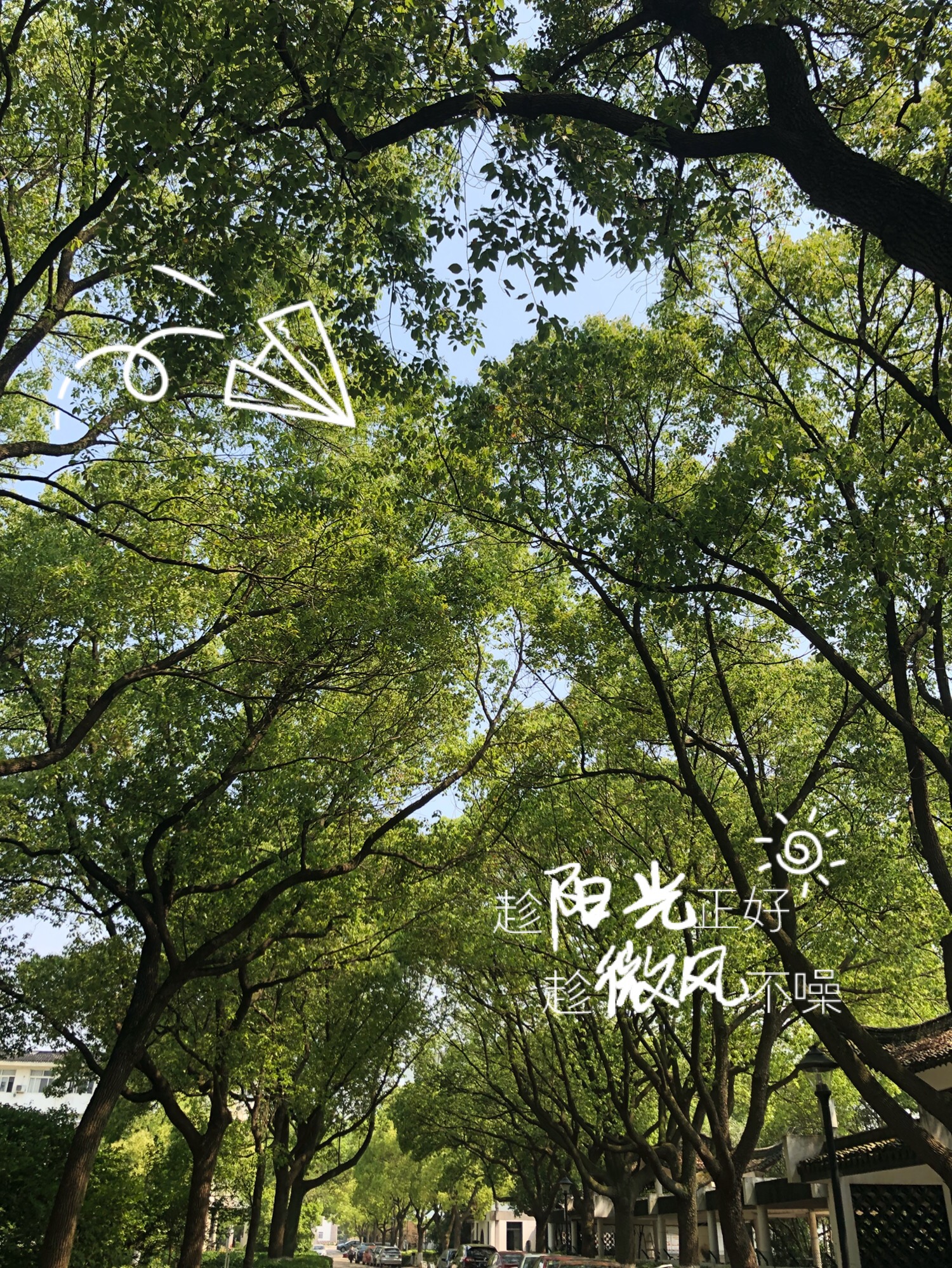 屁桃怪de麻麻的个人主页（封面预览） - 主页封面设置 - 站酷设计师屁桃怪de麻麻原创素材 - 站酷ZCOOL