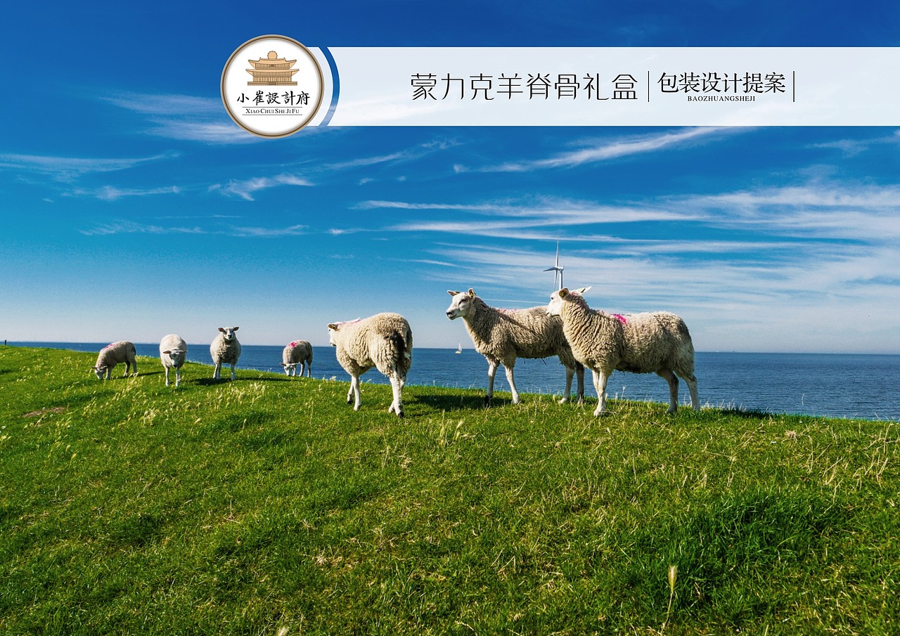 蒙力克羊脊骨包装设计