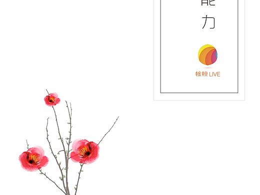 启动页