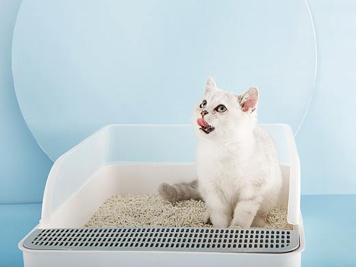 豆腐猫砂