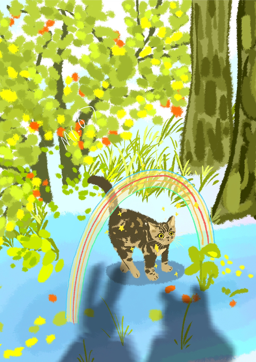 插画合集|编织一个梦