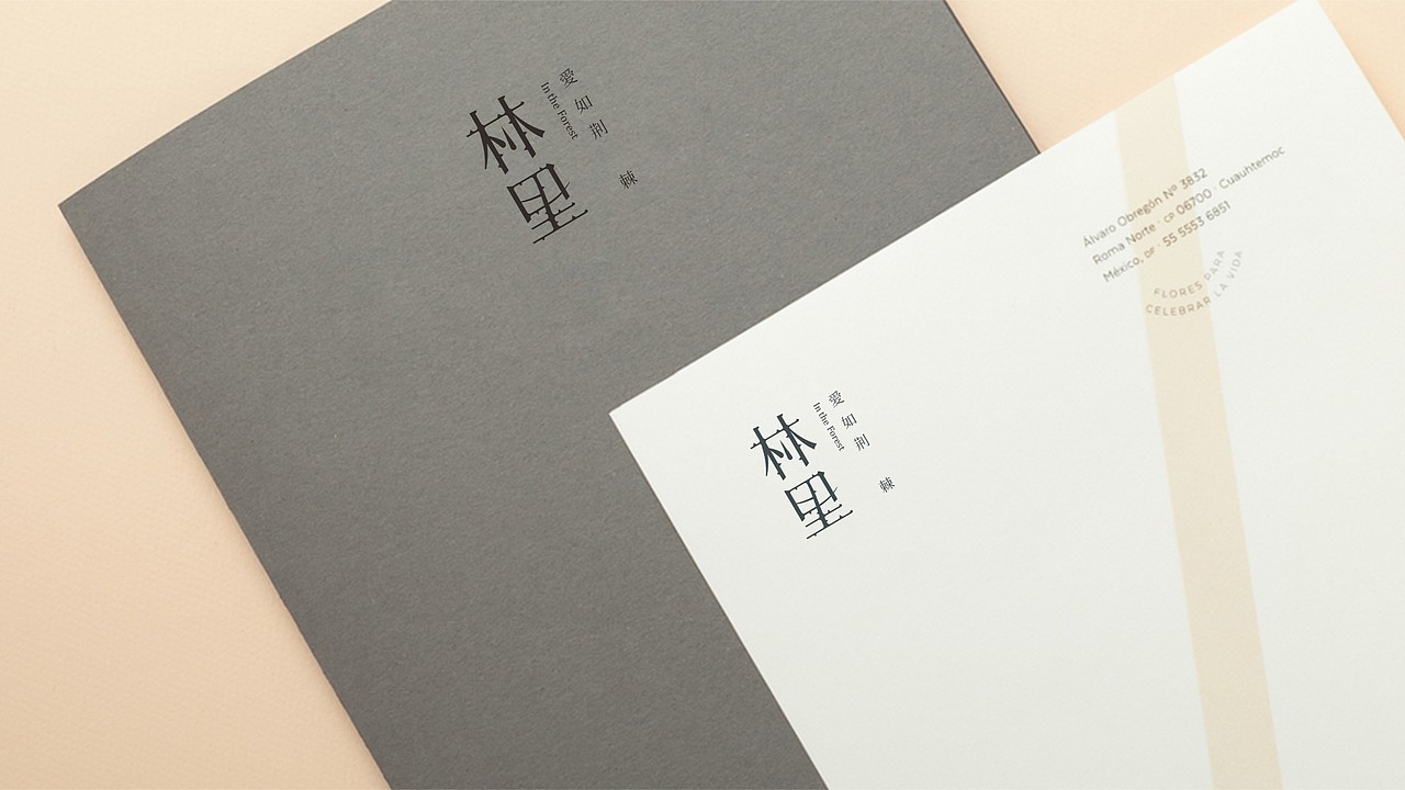 TORTOISE | 品牌集