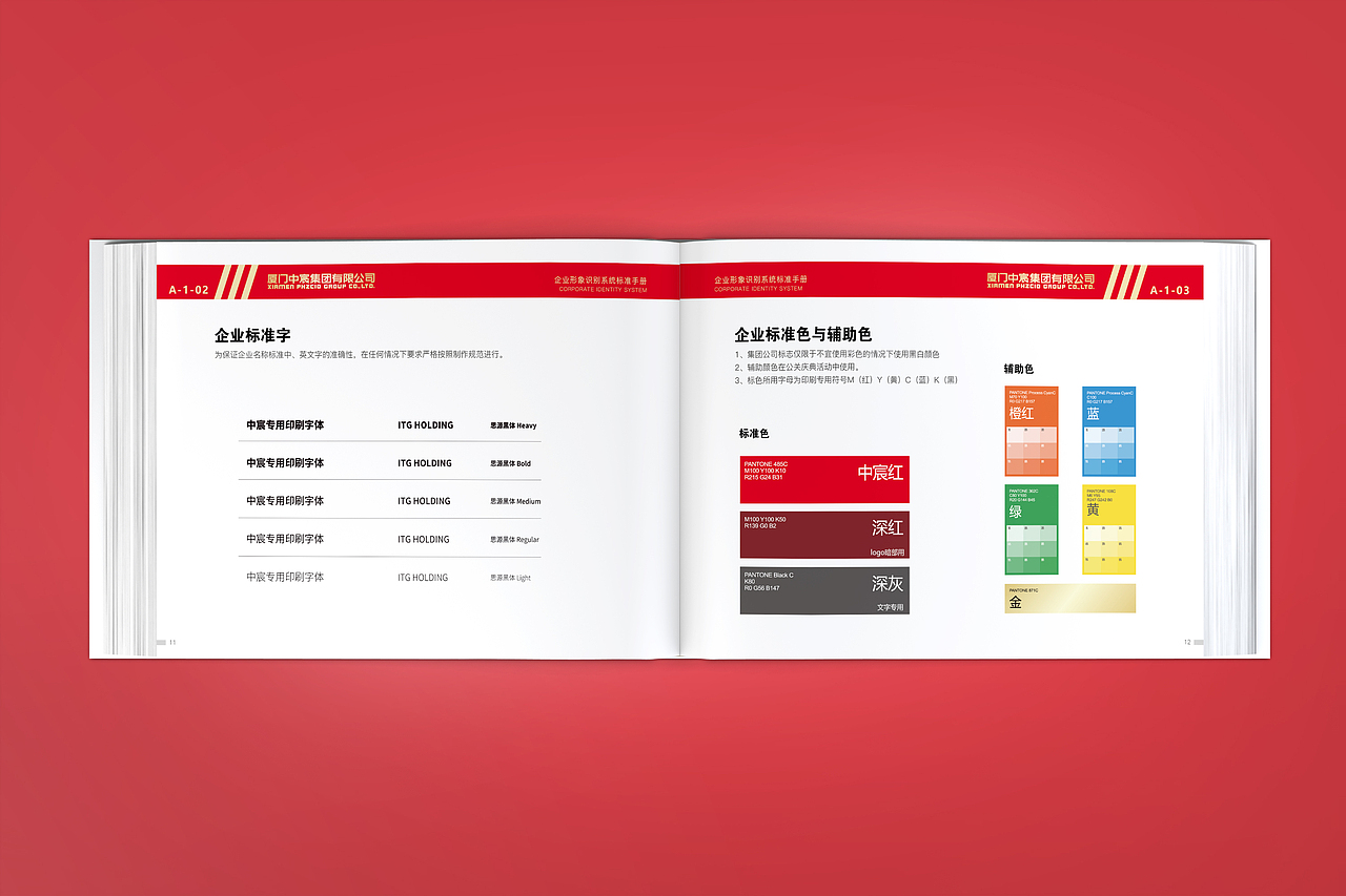 厦门中宸集团VIS系统设计