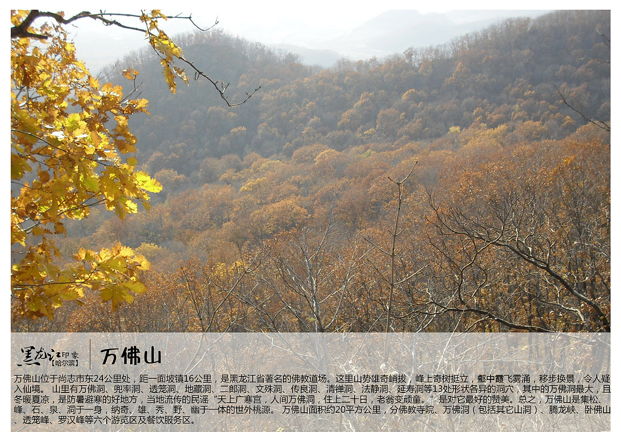 万佛山位于尚志市东24公里处,距一面坡镇16公里,是黑龙江省著名的佛教
