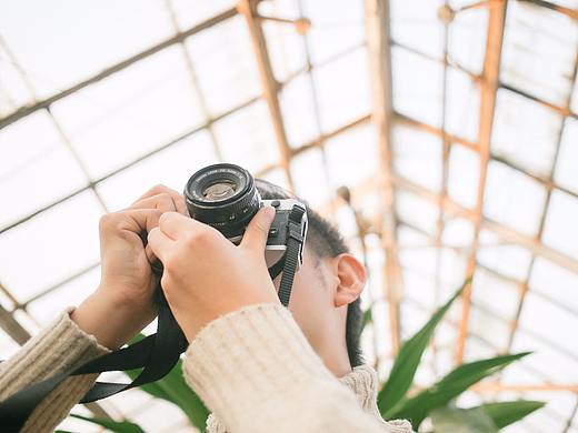 朝菌不知晦朔,蟪蛄不知春秋。