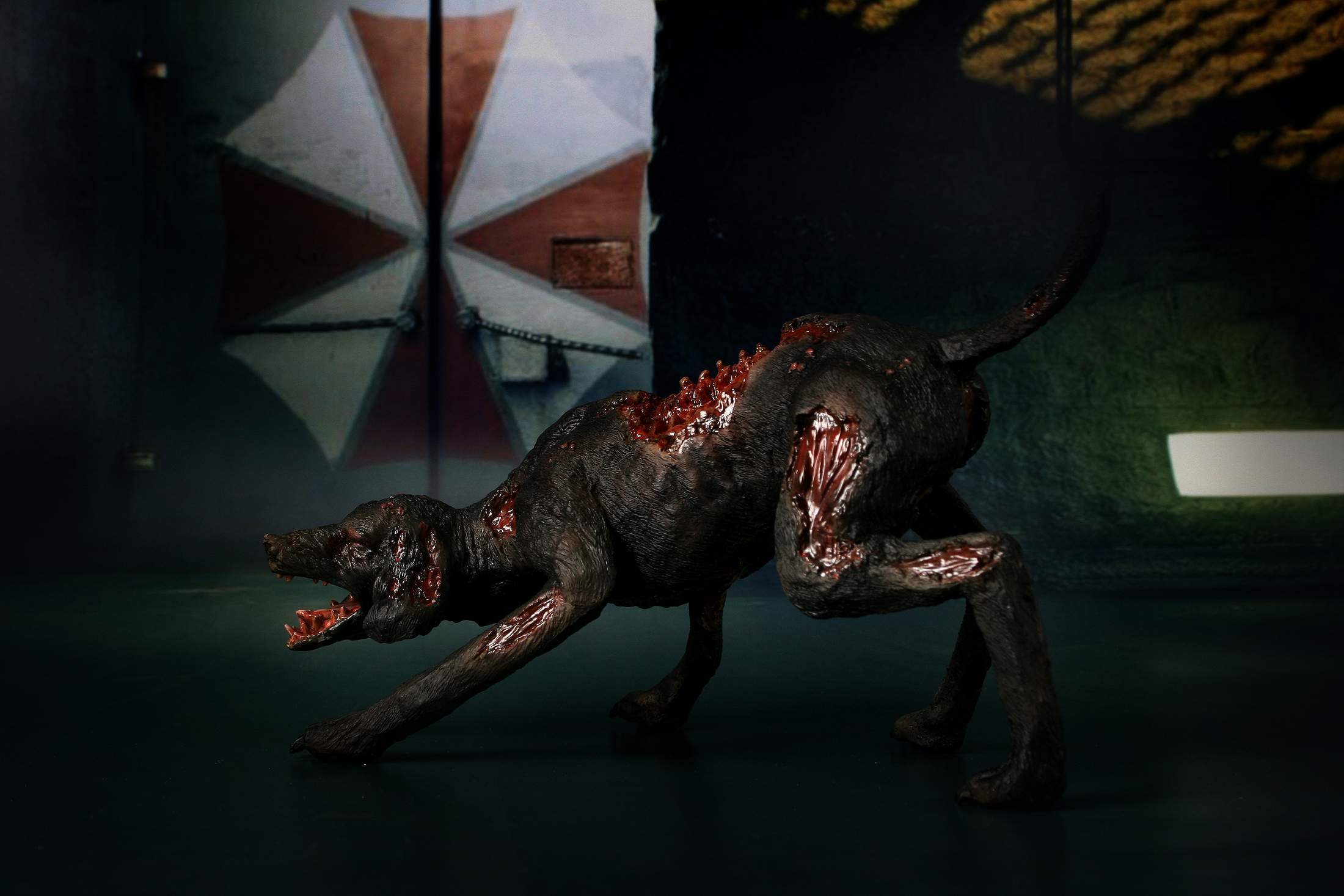 眉间白火tan开箱 拙形社 no.0171 1/6 不可动 丧尸狗