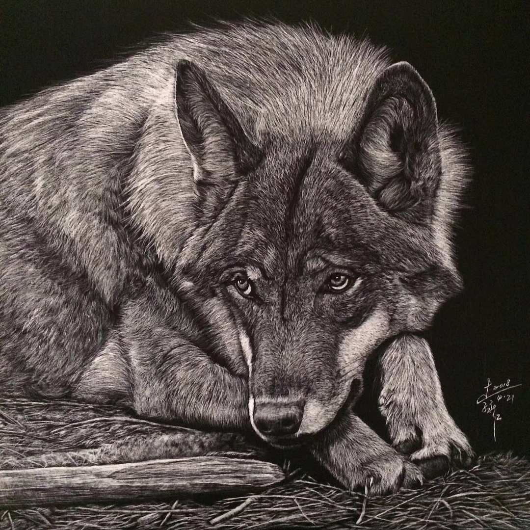 李子哥刮画作品狼的世界