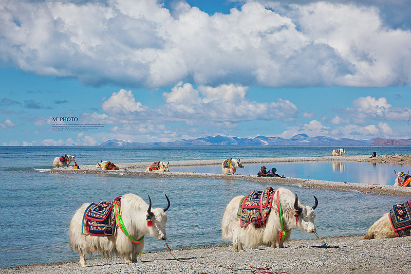 || 設計眼光去攝影 || 西藏 #出发的勇气2014#（图ZMjA1MjYzNjQ=） - 风光摄影 - 站酷设计师缪MIAO原创素材 - 站酷ZCOOL