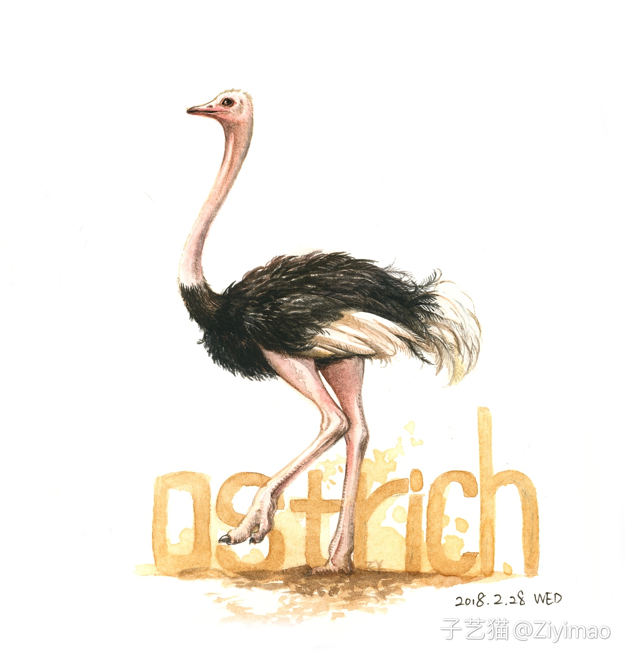 水彩-IELTS词汇书插图（图ZMTk1NDI0ODA4） - 商业插画 - 站酷设计师子艺猫原创素材 - 站酷ZCOOL