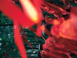 27届金犊奖作品