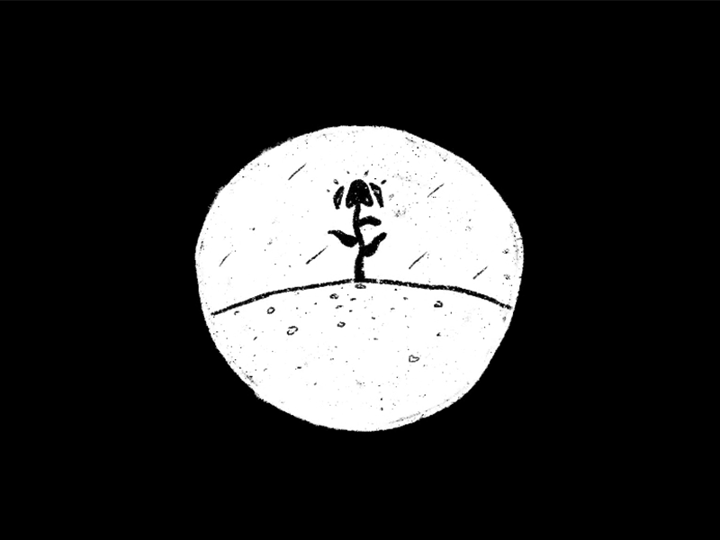 疫情上半年都干了些啥呀我