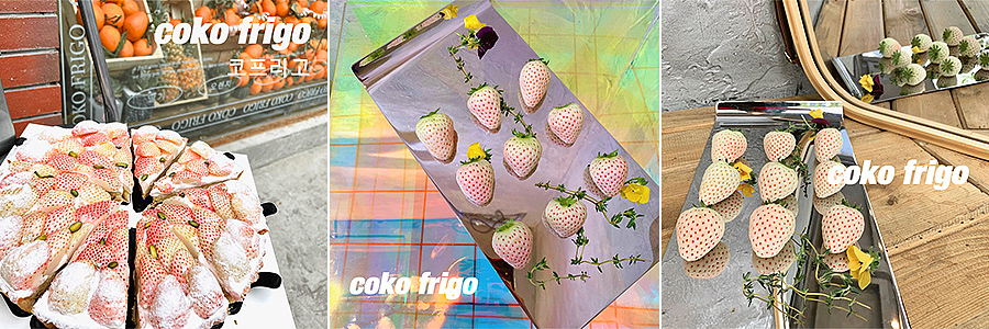 集智创想-餐饮品牌-COKO.FRIGO