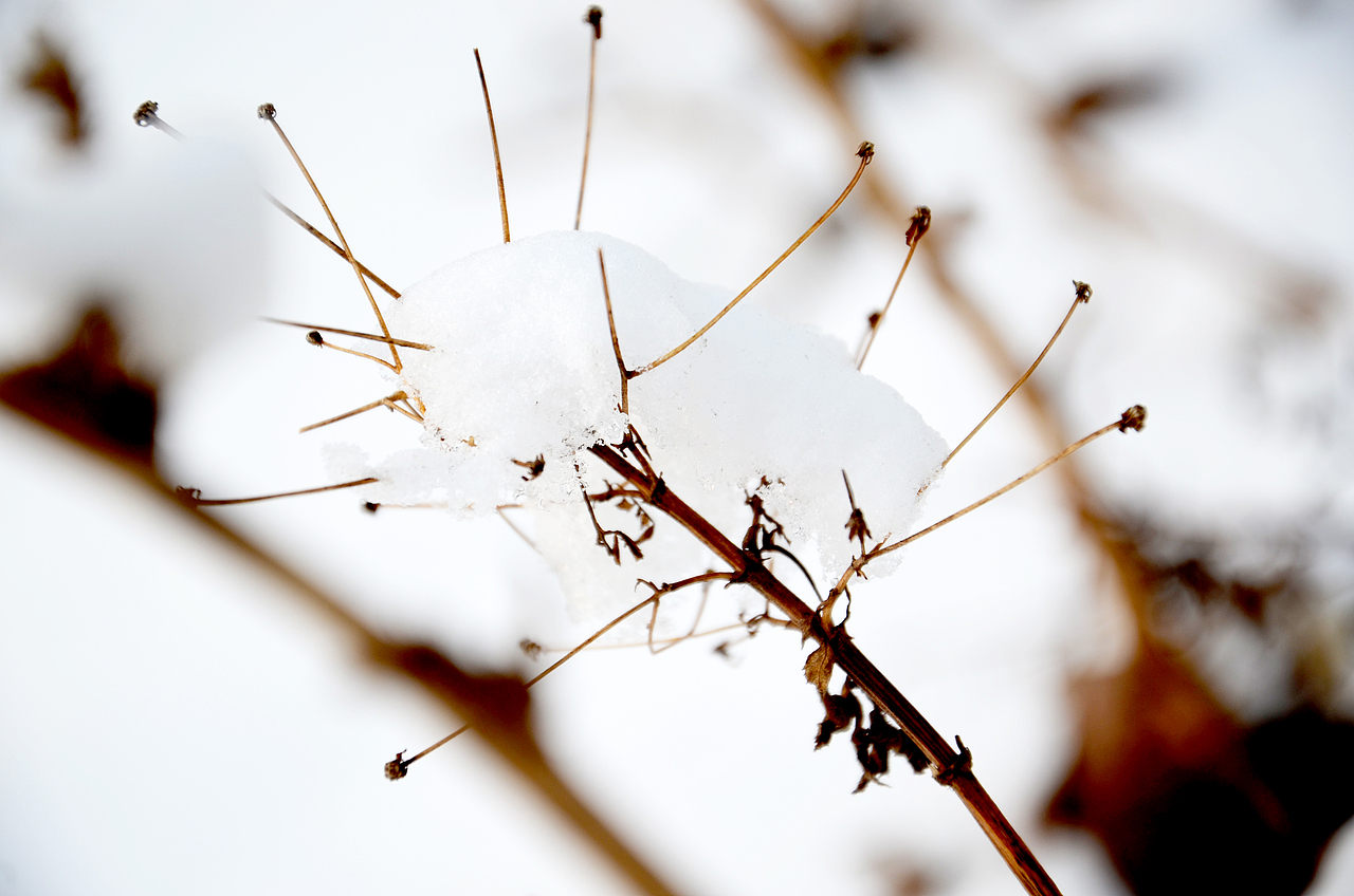 2015，邯鄲，第一場雪（圖ZMjQzMjQ0OTY=） - 風光攝影 - 站酷設計師中仁原創(chuàng)素材 - 站酷ZCOOL