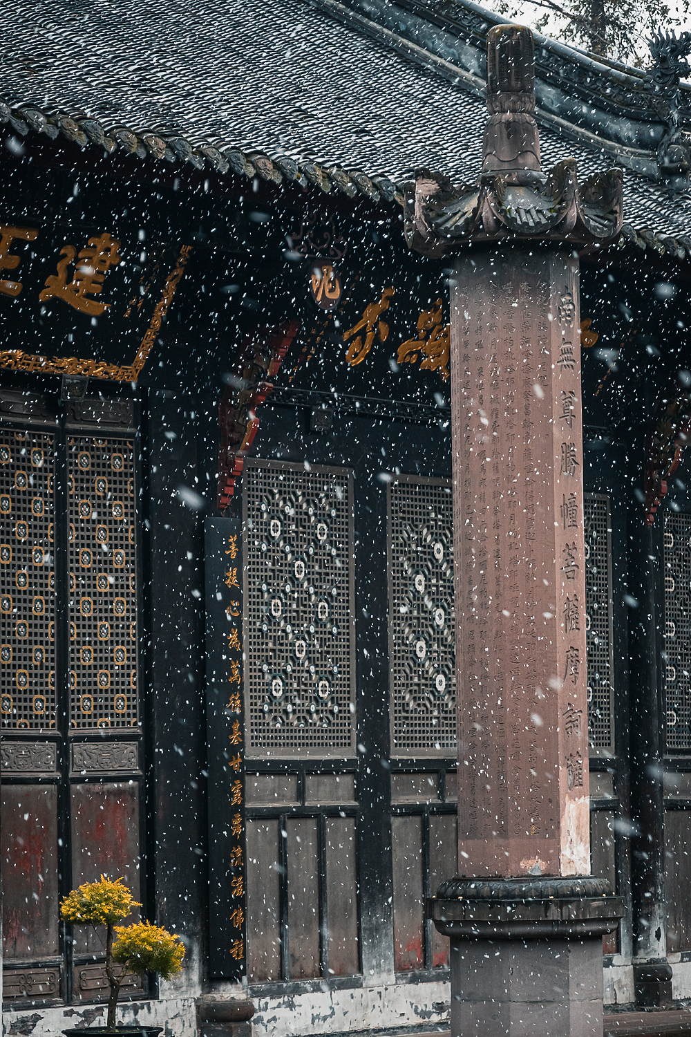 成都文殊院里的故宫感