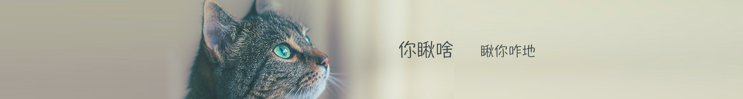 说了不要关注的个人主页（封面预览） - 主页封面设置 - 站酷设计师说了不要关注原创素材 - 站酷ZCOOL