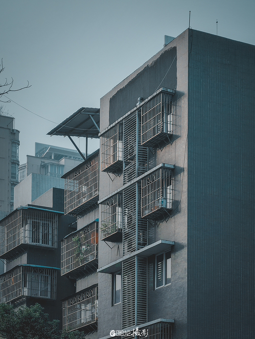 时光里(手机摄影)