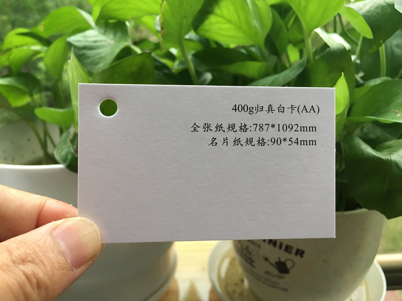 2019款特种纸艺术纸实物展示样册