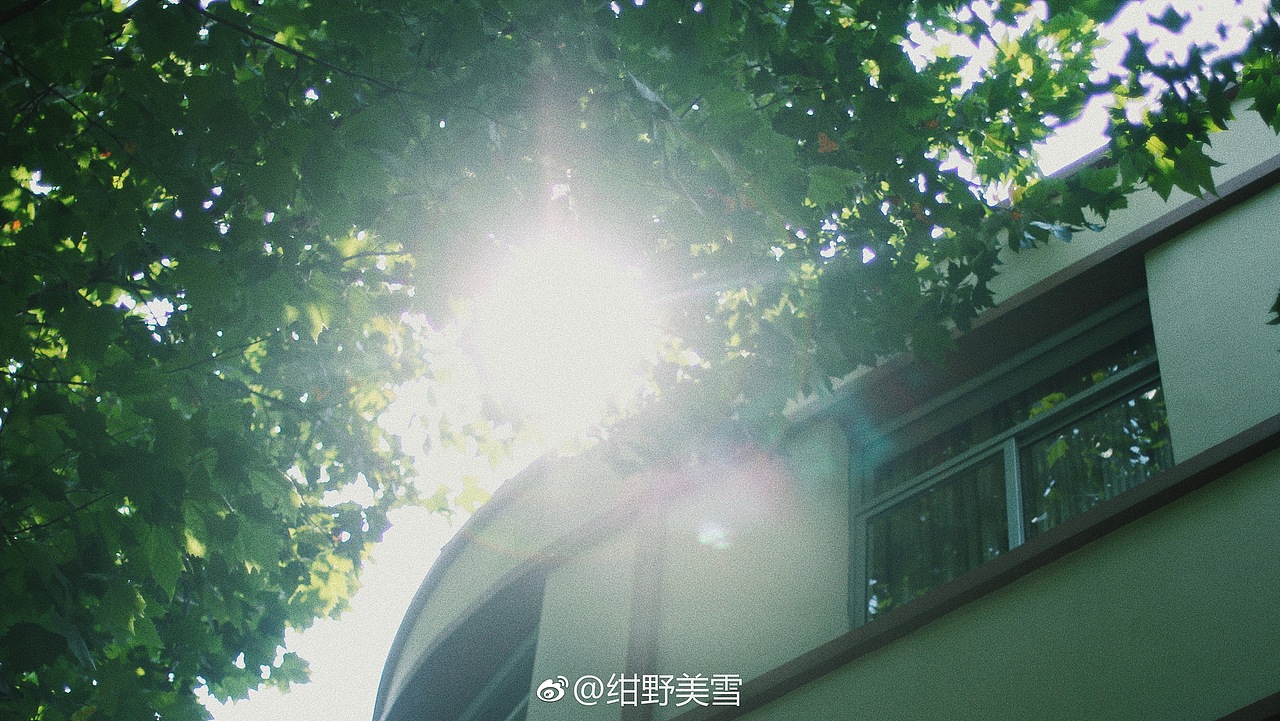 摄影 / 9月的上海（图ZMTEzMjI1NDky） - 人像摄影 - 站酷设计师紺野美雪原创素材 - 站酷ZCOOL