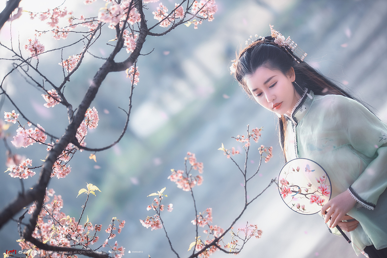 《樱花落，纷如雪》（图ZMTUyMzcyOTQw） - 人像摄影 - 站酷设计师摄影师子意原创素材 - 站酷ZCOOL