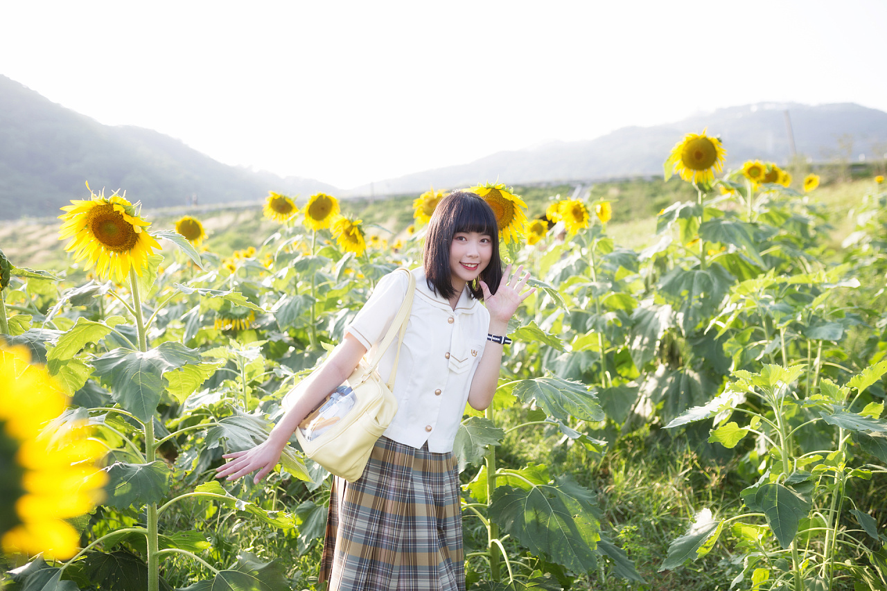 向日葵