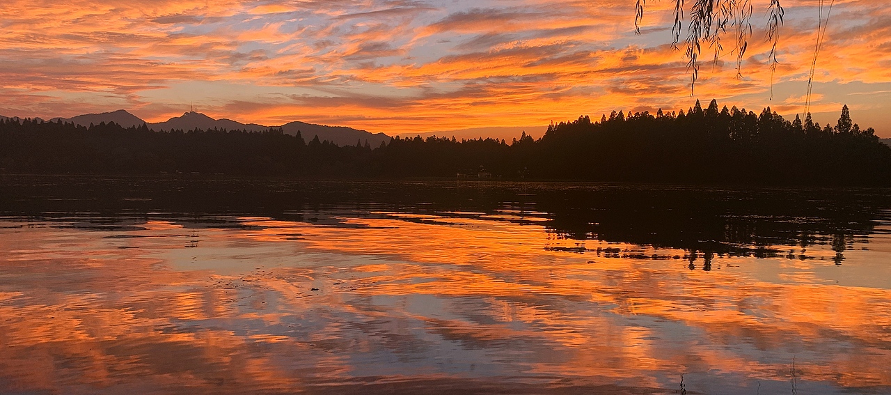 杭州西湖之旅 - iPhone XR拍摄