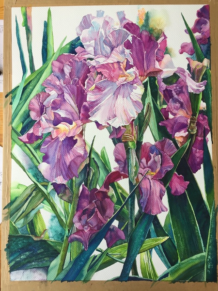 那些花儿——水彩花卉