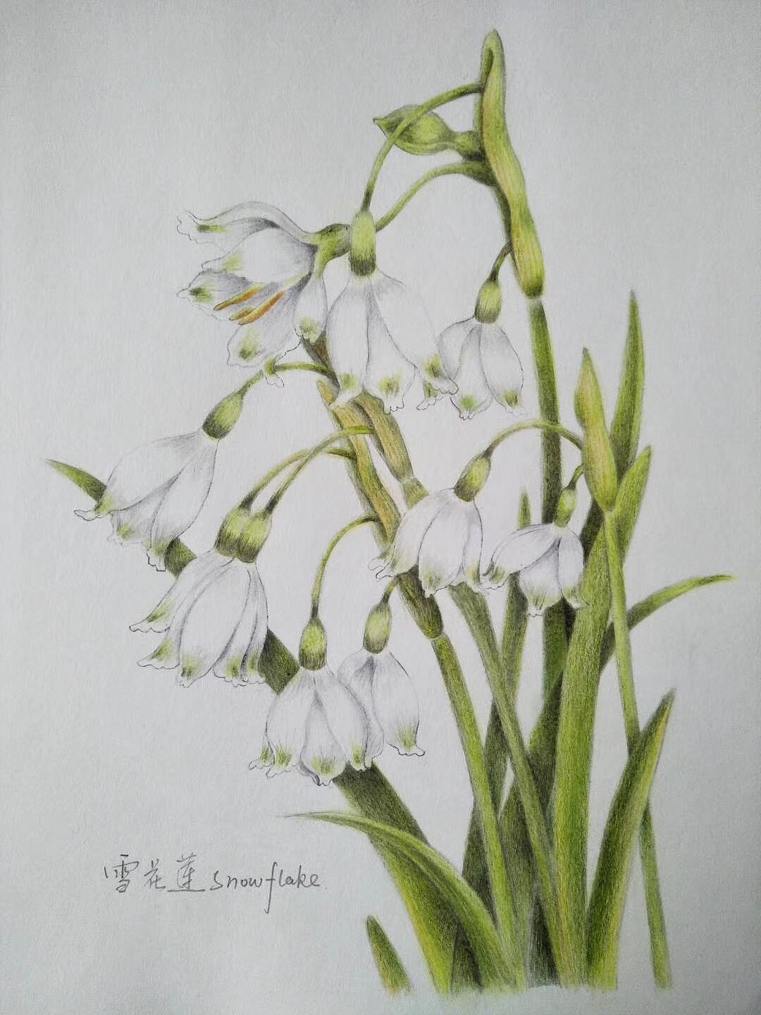 临摹（图ZMzU0MjAyMTQ4） - 创作习作 - 站酷设计师Z025026128原创素材 - 站酷ZCOOL